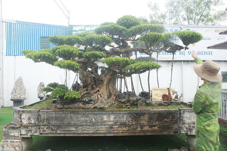Mục sở thị bộ ba sanh cổ giá hơn 1 triệu USD của nghệ nhân Nam Định - 5 Mục sở thị bộ ba sanh cổ giá hơn 1 triệu USD của nghệ nhân Nam Định - 5