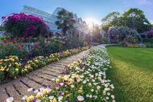 Cụ ông 70 tuổi biến đất toàn cỏ dại thành vườn 5000m2 đẹp như tiên cảnh