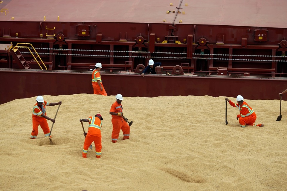 Trung Quốc bất ngờ ngừng mua nông sản Mỹ giữa lúc căng thẳng - 1 Trung Quốc bất ngờ ngừng mua nông sản Mỹ giữa lúc căng thẳng - 1