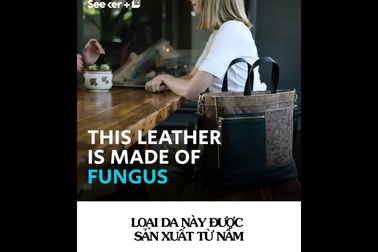 Khó tin loại da đặc biệt được làm hoàn toàn từ… nấm!