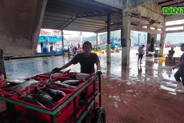Tàu cá Bình Định thu gần tỷ đồng ngày giáp Tết