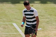 Alcaraz tiến vào bán kết Queen's Club, Zverev gặp Medvedev ở Halle Open