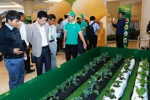 Trái cây ngon không thể xuất khẩu và "tử huyệt" của nông nghiệp Việt