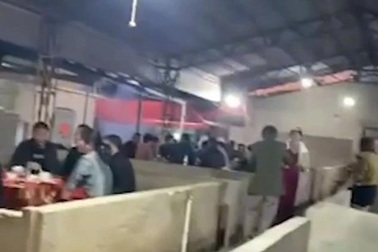 Lạ lùng đám cưới tổ chức trong... chuồng lợn để đảm bảo giãn cách