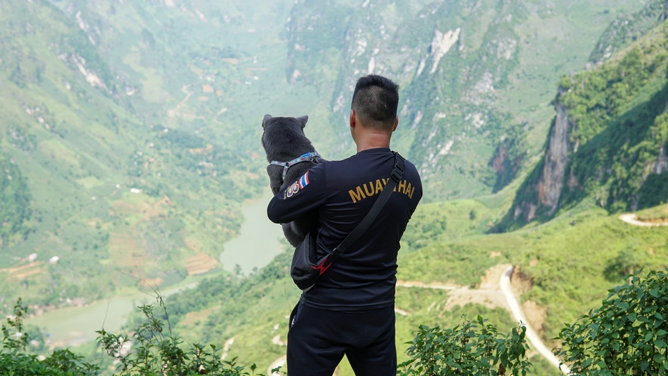Chú chó mê du lịch, check-in muôn nơi, có 230 ngàn người theo dõi - 6 Chú chó mê du lịch, check-in muôn nơi, có 230 ngàn người theo dõi - 6