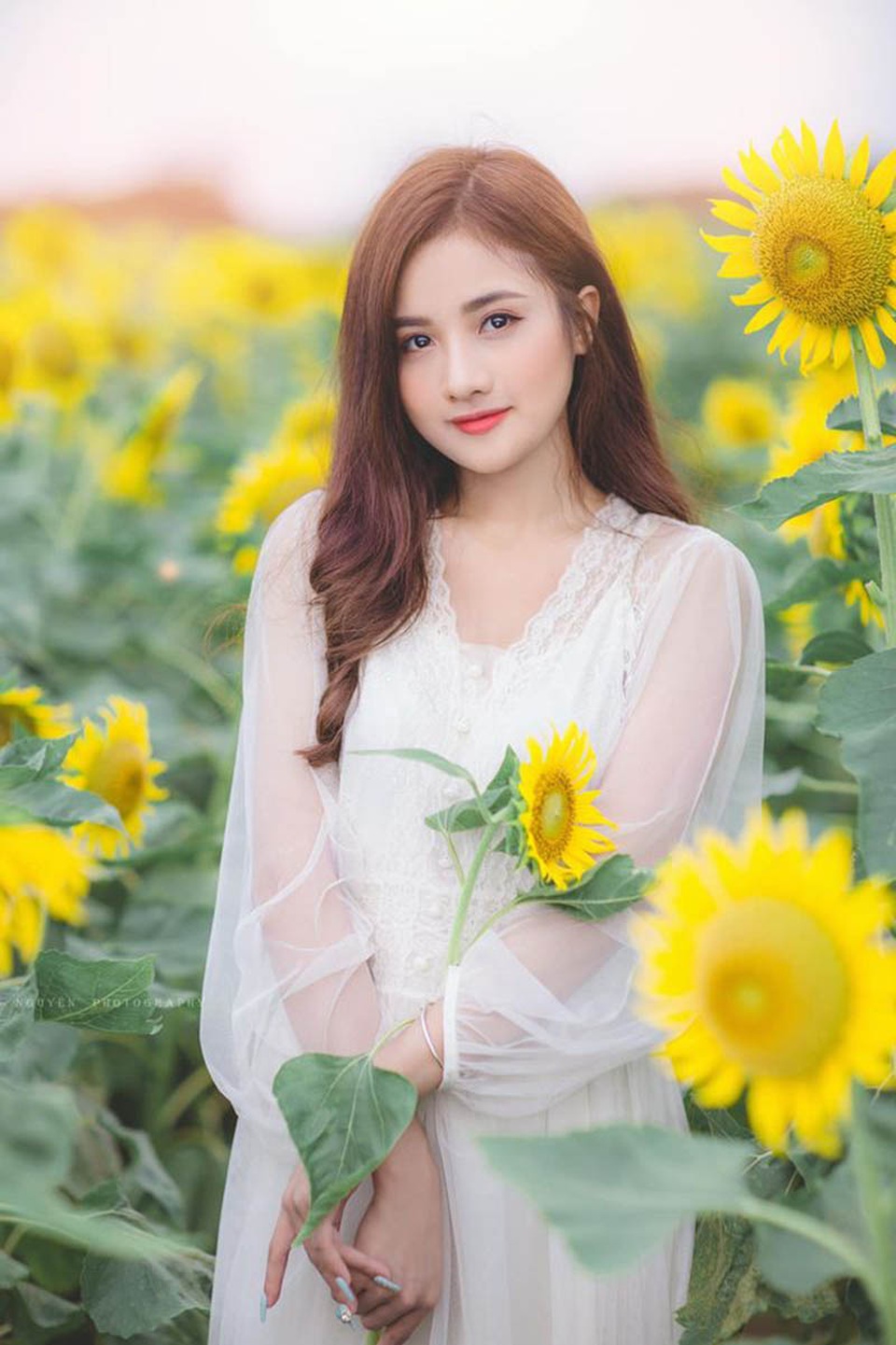 “Thiên thần đồng phục” khoe sắc bên hoa hướng dương - 3 “Thiên thần đồng phục” khoe sắc bên hoa hướng dương - 3