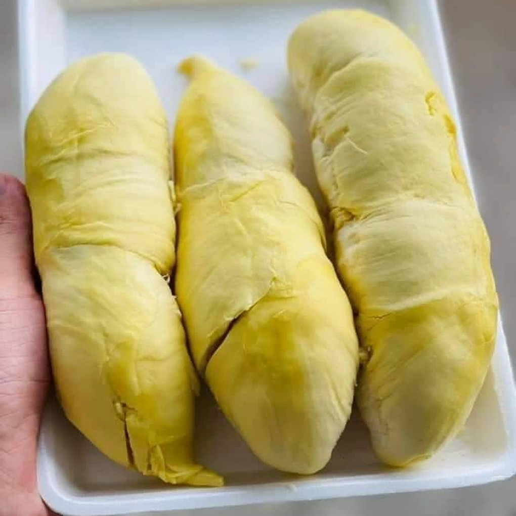 Tháng 9 về Đắk Lắk thưởng thức sầu riêng, ngắm khinh khí cầu - 2 Tháng 9 về Đắk Lắk thưởng thức sầu riêng, ngắm khinh khí cầu - 2