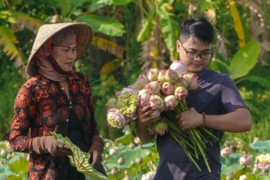 Trồng loại sen to như cái quạt, trai đẹp giúp mẹ kiếm tiền triệu mỗi ngày