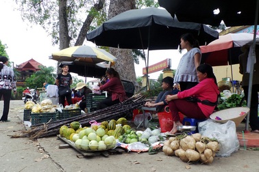 Bao giờ công bố kết luận thanh tra đất Đồng Tâm?
