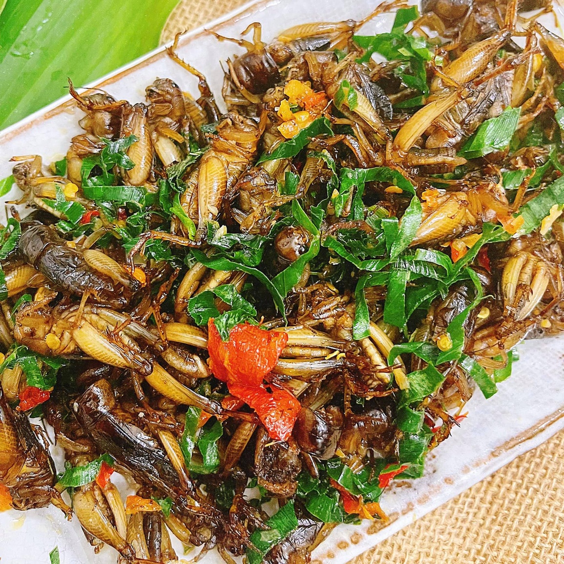 Côn trùng xấu lạ thành đặc sản, khách đổ mồ hôi thưởng thức ở Đồng Nai - 6 Côn trùng xấu lạ thành đặc sản, khách đổ mồ hôi thưởng thức ở Đồng Nai - 6