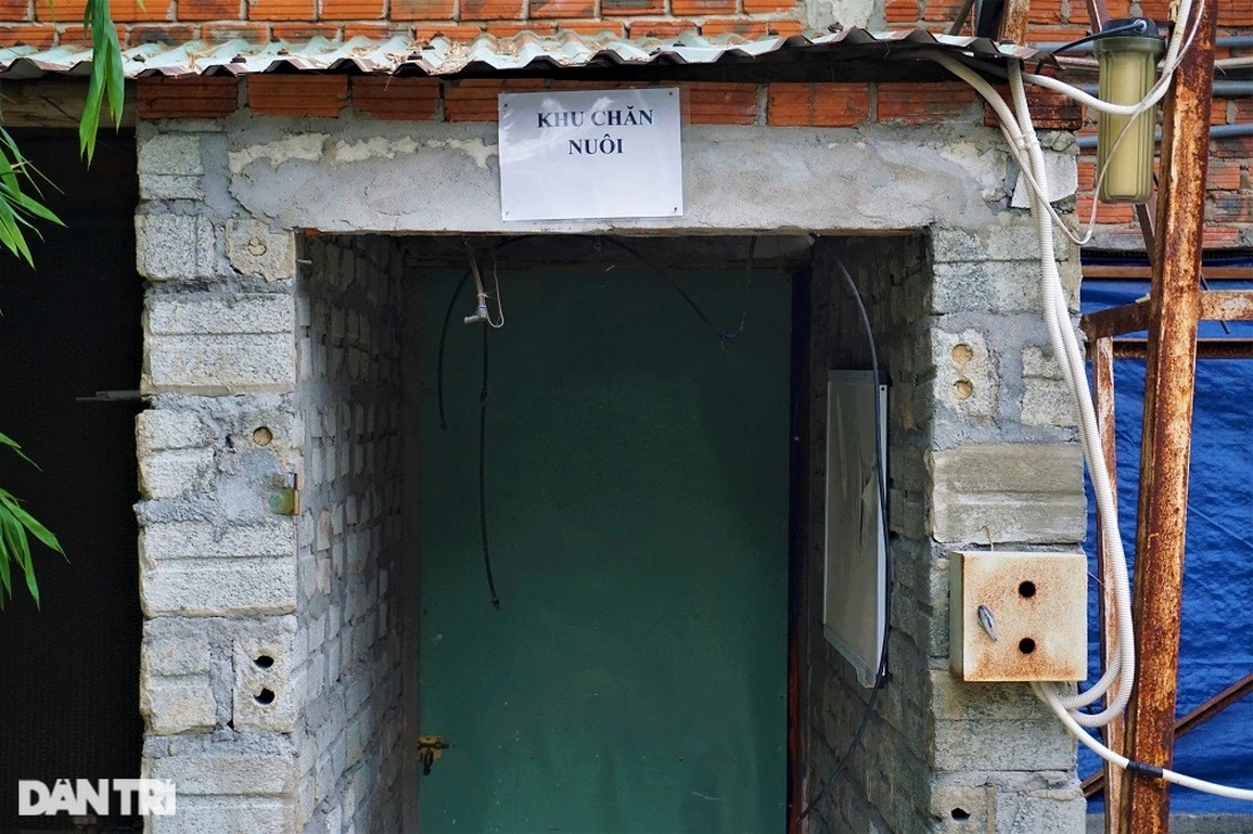 Nữ thạc sĩ rời TPHCM về quê nuôi giống gà đen xì, nhặt trứng mỏi tay - 4 Nữ thạc sĩ rời TPHCM về quê nuôi giống gà đen xì, nhặt trứng mỏi tay - 4