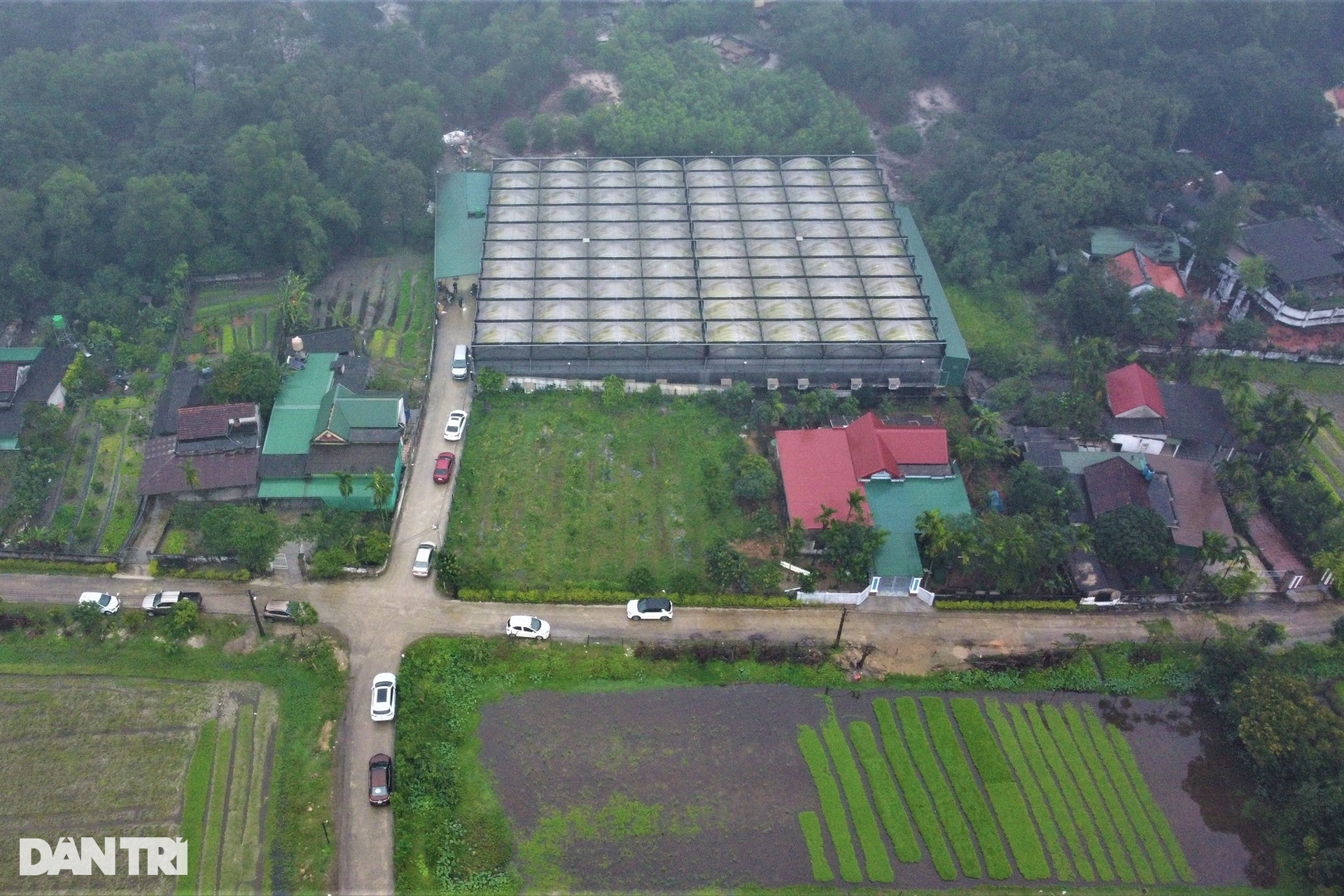 Thu 8 tỷ đồng dịp Tết sau cú liều trồng hoa cao cấp trên đất khắc nghiệt - 1 Thu 8 tỷ đồng dịp Tết sau cú liều trồng hoa cao cấp trên đất khắc nghiệt - 1