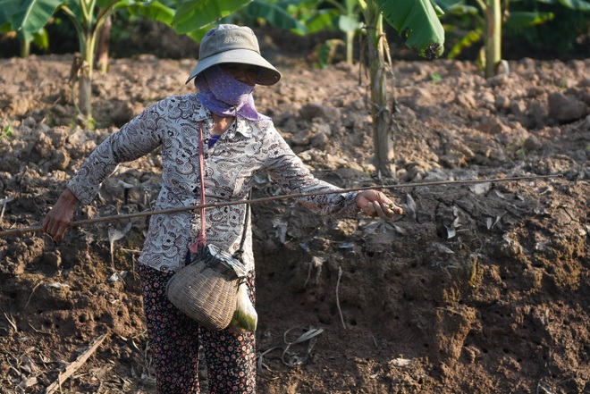 Câu con lộc trời cho: nông dân Hải Dương kiếm nửa triệu đồng mỗi ngày - 16 Câu con lộc trời cho: nông dân Hải Dương kiếm nửa triệu đồng mỗi ngày - 16