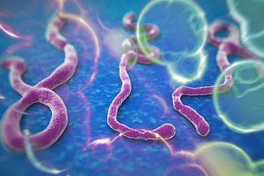 8 điều cần biết về sự nguy hiểm của virus Ebola