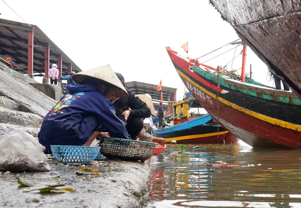 Phận già đãi vàng nơi cửa biển - 2 Phận già đãi vàng nơi cửa biển - 2