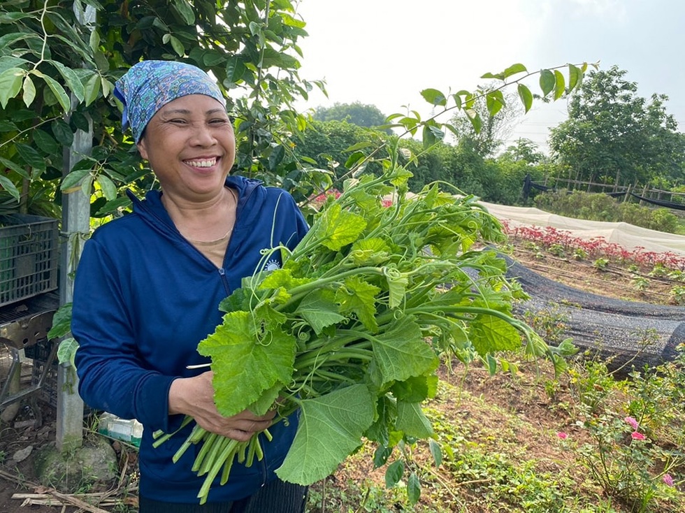 Vợ chồng tiến sỹ về quê làm nông dân, bán 5 tấn nông sản/tháng - 15