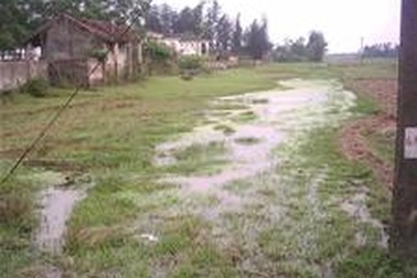 Ô nhiễm từ nguồn nước thải Bệnh viện Lao Nghệ An