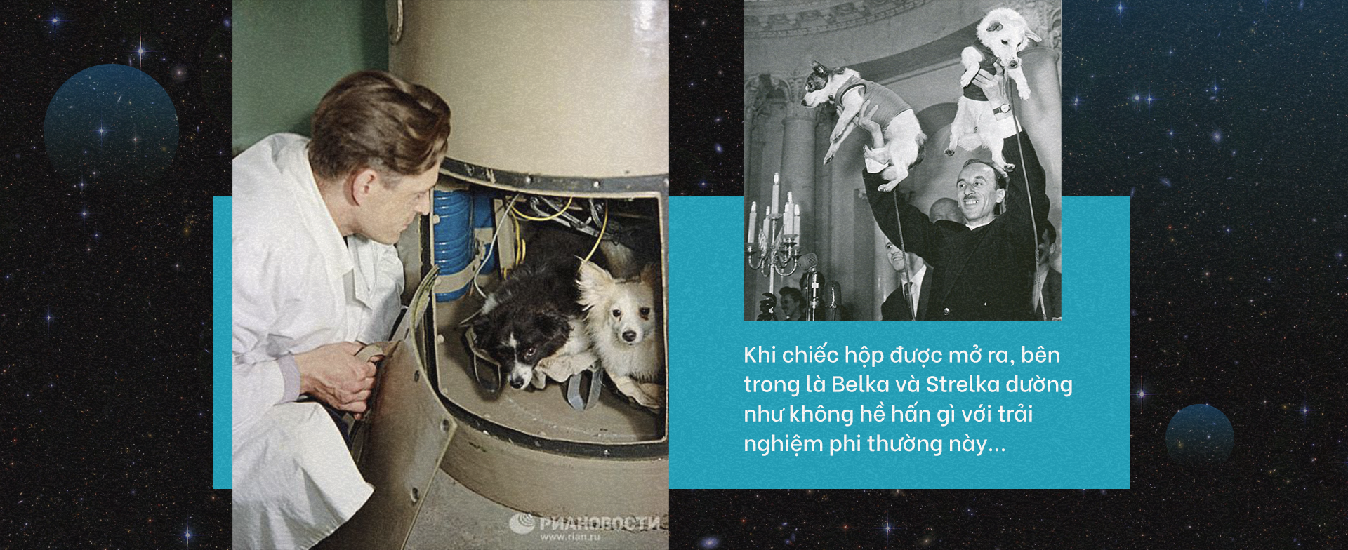 Chuyện về Belka và Strelka - hai chú chó Liên Xô tiên phong bay vào vũ trụ - 14 Chuyện về Belka và Strelka - hai chú chó Liên Xô tiên phong bay vào vũ trụ - 14