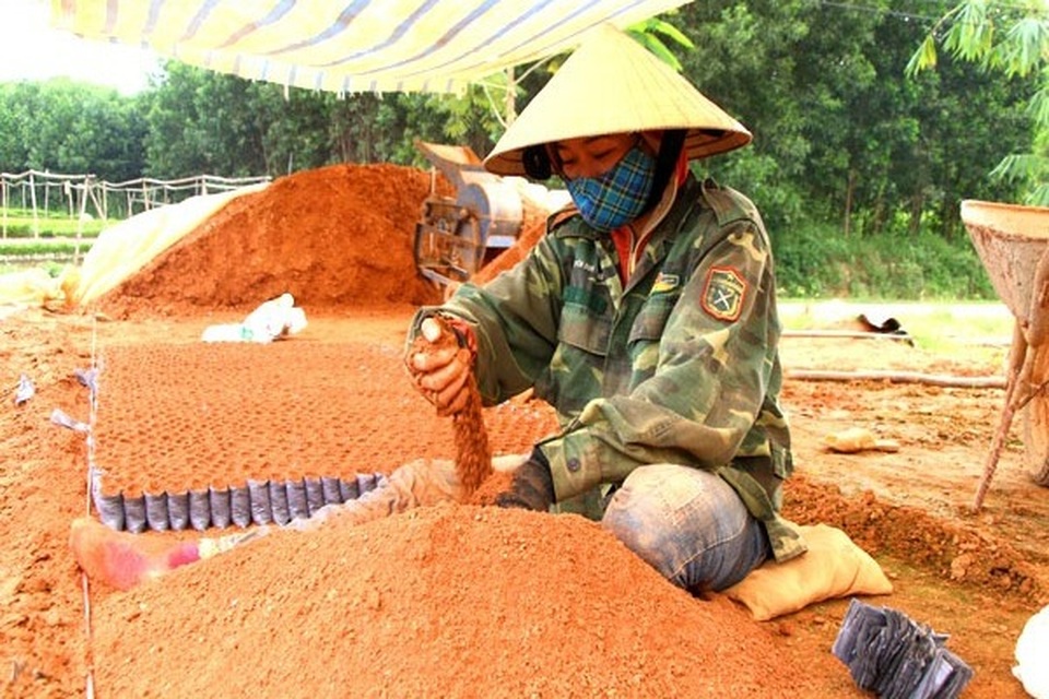 Ngồi chơi nghịch đất, kiếm 200.000 đồng/ngày - 5 Ngồi chơi nghịch đất, kiếm 200.000 đồng/ngày - 5