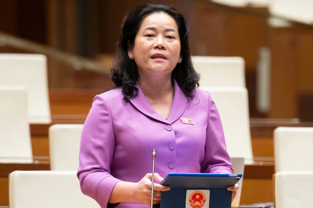 Đại biểu lo các trường đại học yếu đi sau sáp nhập, đề xuất bỏ đại học vùng - 3