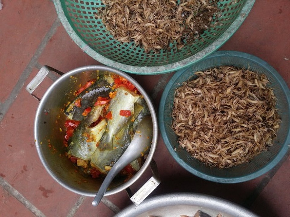 Kỳ lạ loài côn trùng “vật vờ” ngoài sông Hồng được bán với giá hàng triệu đồng/kg - 5 Kỳ lạ loài côn trùng “vật vờ” ngoài sông Hồng được bán với giá hàng triệu đồng/kg - 5
