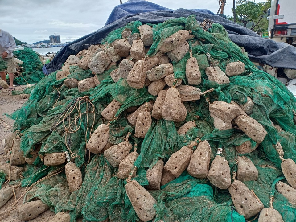 Khánh Hòa: Nửa tháng kiếm 100 triệu đồng nhờ làm nghề bẫy tôm hùm nhí - 4 Khánh Hòa: Nửa tháng kiếm 100 triệu đồng nhờ làm nghề bẫy tôm hùm nhí - 4