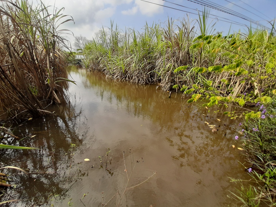 Cuộc sống người dân xáo trộn, sản xuất lỗ nặng vì nước ngập quá lâu - 4