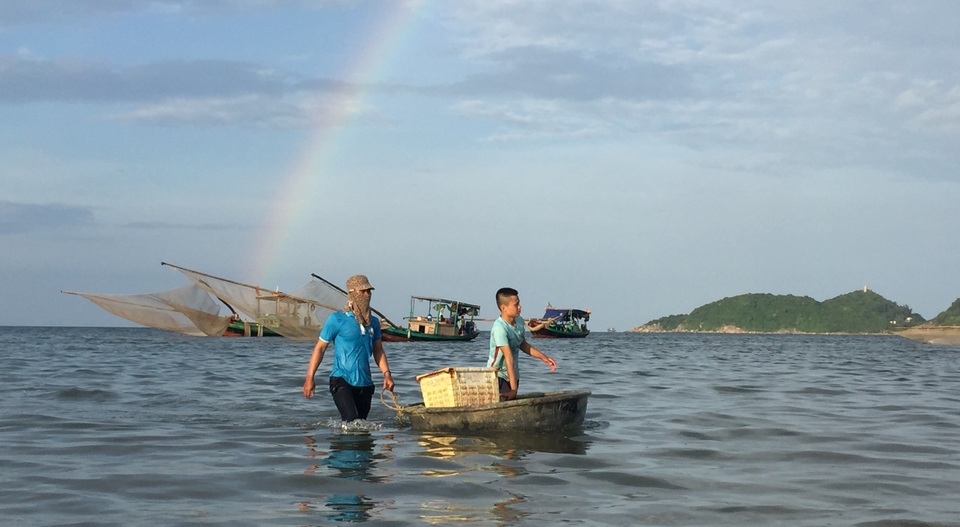 Hà Tĩnh: Ngư dân trúng mùa ruốc biển - 3 Hà Tĩnh: Ngư dân trúng mùa ruốc biển - 3