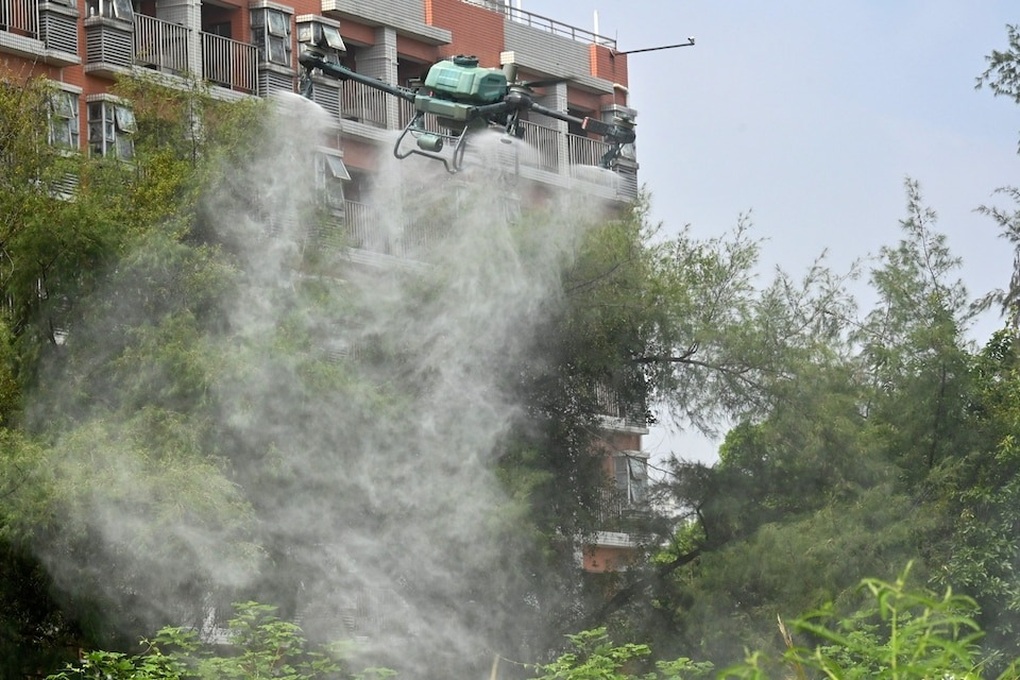 Trung Quốc thả muỗi ăn thịt để đẩy lùi bệnh Chikungunya - 2 Trung Quốc thả muỗi ăn thịt để đẩy lùi bệnh Chikungunya - 2