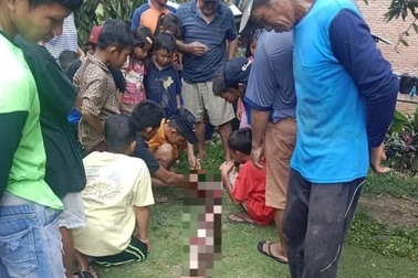 Cụ bà 74 tuổi ở Indonesia bị trăn dài 4m nuốt chửng