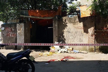 Con trai tâm thần dùng dao đoạt mạng bố