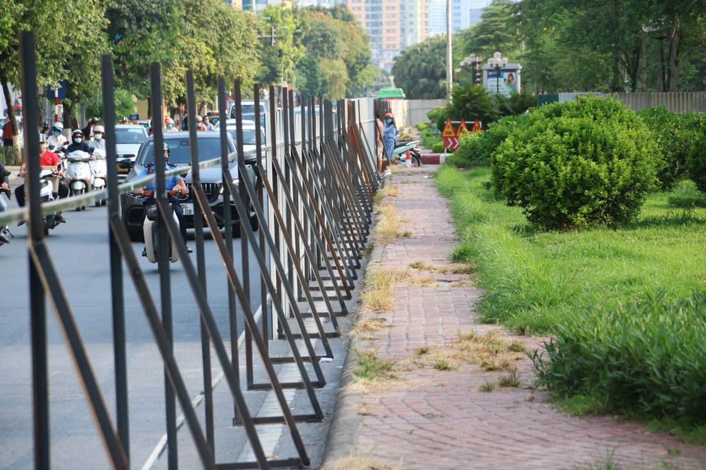 Hà Nội: Tuyến đường đẹp nhất thủ đô trước khi phải xén cây để mở rộng - 4 Hà Nội: Tuyến đường đẹp nhất thủ đô trước khi phải xén cây để mở rộng - 4