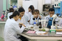 Sinh viên ĐH Đà Nẵng nghỉ học tiếp thêm một tuần