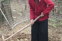 Nỗi bất hạnh của cụ bà không có người thân