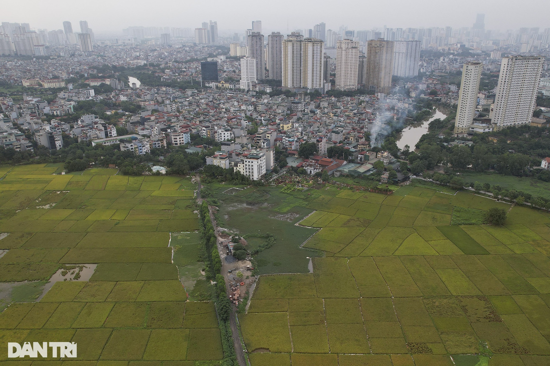 Những mùa lúa cuối cùng vùng ngoại thành Hà Nội - 4 Những mùa lúa cuối cùng vùng ngoại thành Hà Nội - 4