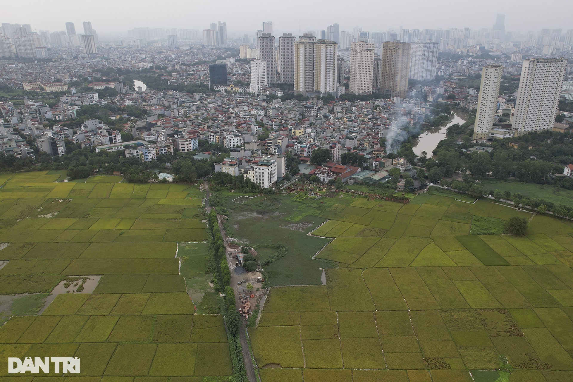 Những mùa lúa cuối cùng vùng ngoại thành Hà Nội - 4