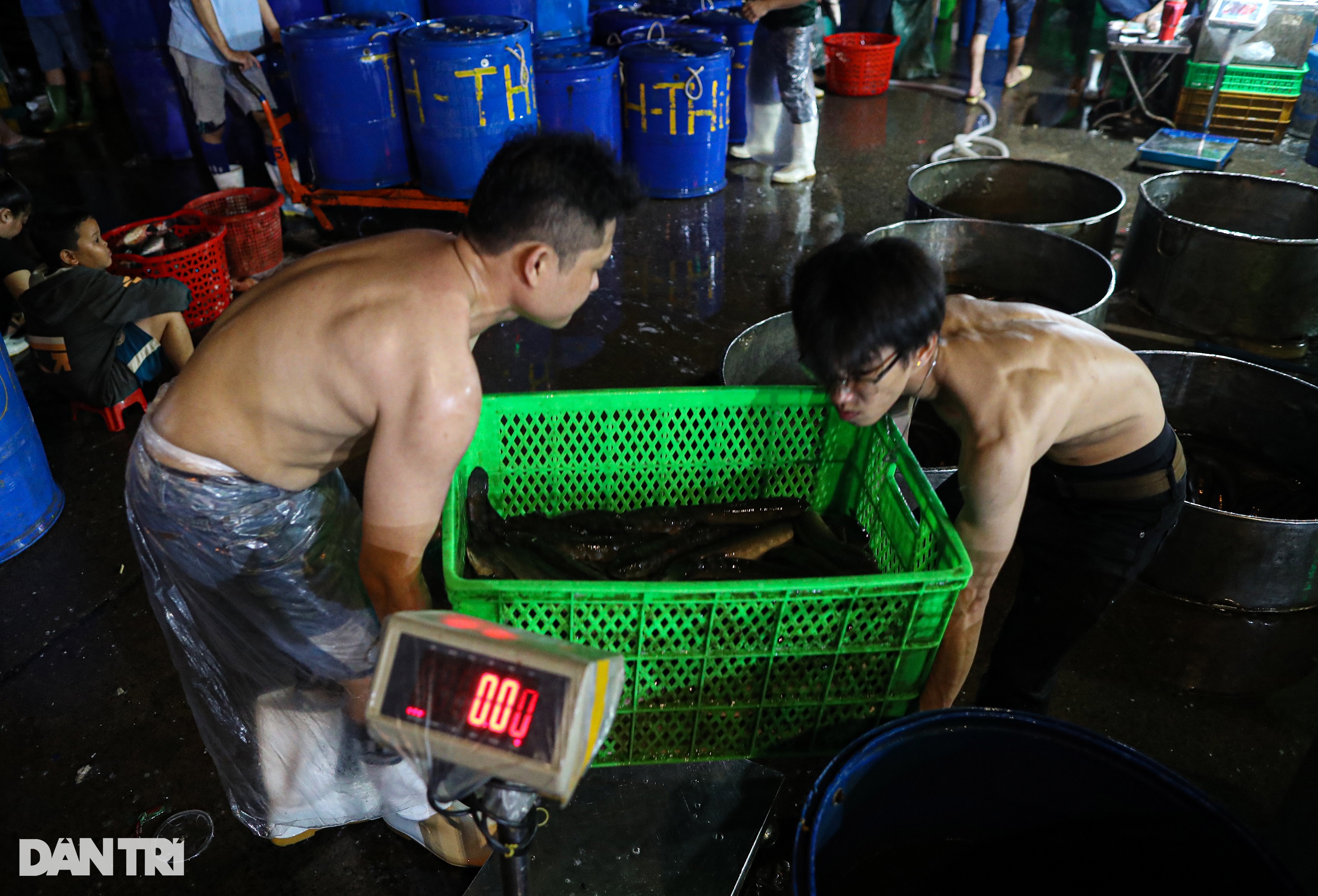 Chợ cá lóc lớn nhất TPHCM tất bật trước ngày vía Thần Tài - 9