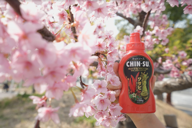 Người Nhật hào hứng thưởng thức hương vị tương ớt Chin-su vị Wasabi