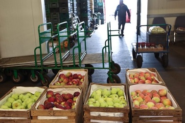 EU có thể thiệt hại 16 tỷ USD vì lệnh trừng phạt của Nga