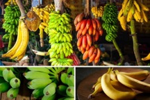 Những trường hợp này không nên ăn chuối chín