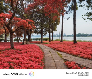 Đánh giá vivo V60 Lite 5G: Hiệu suất tốt, pin khỏe, camera còn hạn chế - 20 Đánh giá vivo V60 Lite 5G: Hiệu suất tốt, pin khỏe, camera còn hạn chế - 20
