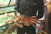 Tác động "thương chiến" Mỹ-Trung: Tôm, cua, hoa quả Mỹ về VN với giá rẻ bất ngờ