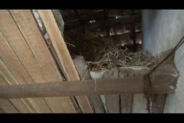 Nữ sinh nhà nghèo lo lỡ hẹn với giảng đường đại học