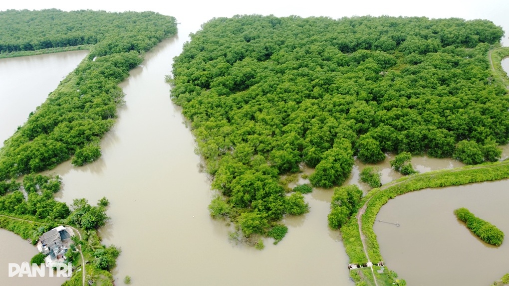 Thái Bình xóa 11.000ha khu bảo tồn: Là rừng đặc dụng phát triển kém? - 6 Thái Bình xóa 11.000ha khu bảo tồn: Là rừng đặc dụng phát triển kém? - 6