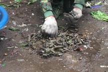 Vụ nổ kinh hoàng ở Bắc Ninh: Thu 6,7 tấn đầu đạn, kim loại