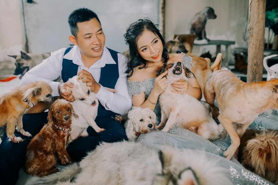 Cặp đôi chụp ảnh cưới độc đáo cùng dàn chó mèo cưng xỉu - 8 Cặp đôi chụp ảnh cưới độc đáo cùng dàn chó mèo cưng xỉu - 8