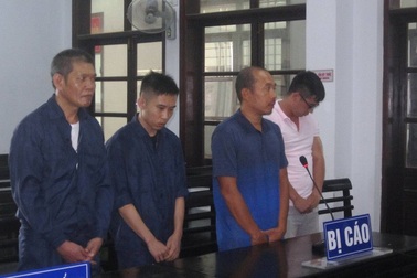 Môi giới khách Nga bán dâm, 4 "tú ông" lãnh án