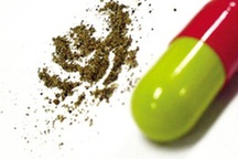 Thực hư về thuốc Trung Quốc làm từ thịt người