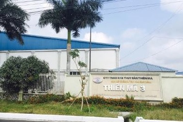 Cần Thơ: Lập tổ công tác giải quyết vụ “đại gia” thủy sản Tòng "Thiên Mã"