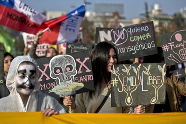 Monsanto đã và đang làm gì tại Việt Nam?